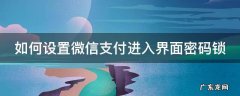 如何设置微信支付进入界面密码锁了 如何设置微信支付进入界面密码锁