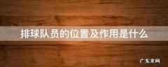 排球队员的位置及作用是什么 排球队员位置图及作用