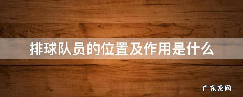 排球队员的位置及作用是什么 排球队员位置图及作用