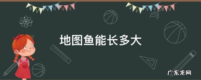 地图鱼能长多大,能长大多宽 地图鱼能长多大