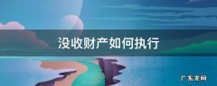 没收财产如何执行关于财产刑 没收财产如何执行