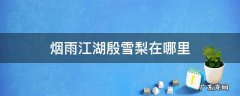 烟雨江湖殷雪梨在哪里 烟雨江湖卷宗之谜寻找殷雪梨