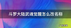 斗罗大陆武魂觉醒ID 斗罗大陆武魂觉醒怎么改名称