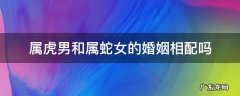 属虎男和属蛇女的婚姻相配吗 属虎男的和属蛇女的相配婚姻怎么样