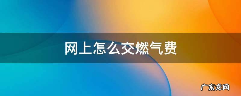 网上怎么交燃气费 网上怎么交燃气费 南宁