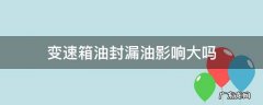 变速箱油封漏油属于变速箱质量问题么 变速箱油封漏油影响大吗
