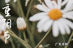 2023重阳节的时间 2023重阳节是哪一天