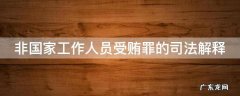 非国家工作人员受贿罪的司法解释