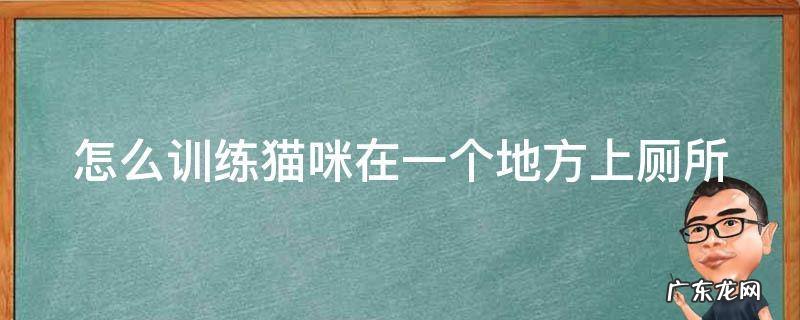 怎么训练猫咪在一个地方上厕所 怎样训练小猫在一个地方拉屎