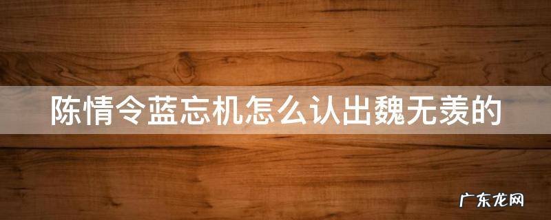 陈情令蓝忘机怎么认出魏无羡的 陈情令蓝忘机怎么认出魏无羡的第几集