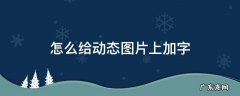 怎么给动态图片上加字 怎么在一张动态图片上加字