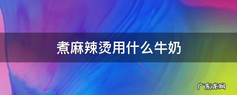 牛奶麻辣烫用什么牛奶 煮麻辣烫用什么牛奶