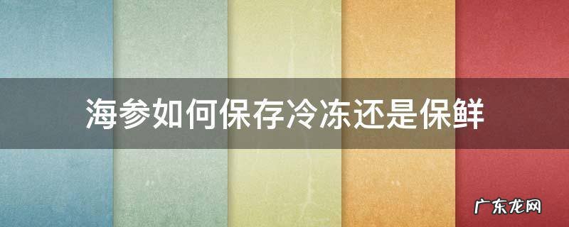 海参怎么放,冷冻还是冷藏 海参如何保存冷冻还是保鲜