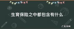 生育保险之中都包含有什么 生育险属于什么保险