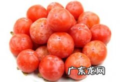 吃完柿子可以吃木瓜吗 柿子可以和香蕉同吃吗