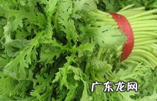 晚上吃茼蒿好吗 茼蒿可以直接生吃吗