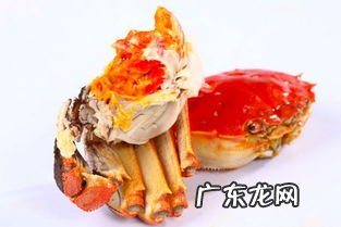 姜汁和螃蟹可以一起吃吗 吃螃蟹为什么吃姜