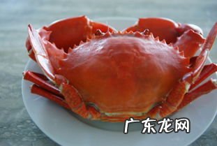青蟹里面黑色膏能吃吗 青蟹里面黑的是什么东西