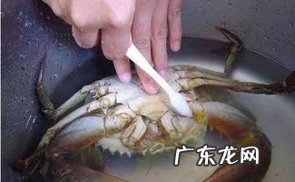 青蟹里面黑色膏能吃吗 青蟹里面黑的是什么东西