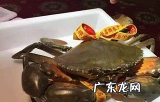 青蟹里面黑色膏能吃吗 青蟹里面黑的是什么东西