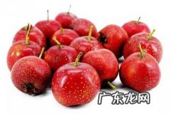 过预产期可以吃山楂吗