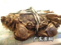 冰箱冻死螃蟹能吃吗 螃蟹冻了半年还能吃吗