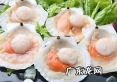吃扇贝可以喝啤酒吗 吃了海鲜多久能喝啤酒
