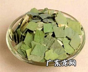 山楂和荷叶能减肥吗