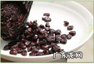 孕妇可以吃黑色玉米吗 黑玉米婴儿可以吃吗
