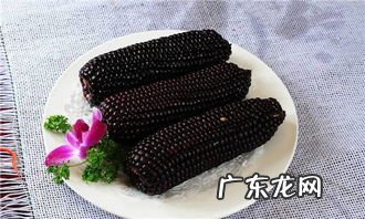 孕妇可以吃黑色玉米吗 黑玉米婴儿可以吃吗