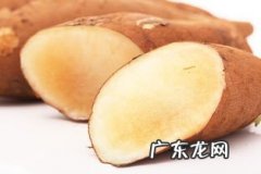 雪莲果是什么季节的水果 雪莲果可以天天吃吗