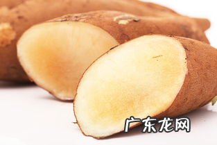 雪莲果是什么季节的水果 雪莲果可以天天吃吗