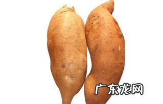 雪莲果是什么季节的水果 雪莲果可以天天吃吗
