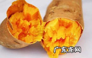 红薯在家放着出芽了还能吃吗 红薯坏了切掉还能吃吗