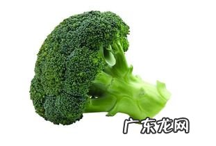 西兰花与豆角能同食吗 西兰花不能和什么一起吃