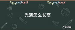 光遇怎么长高 光遇怎么长高高