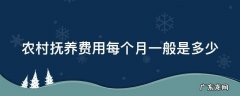 农村抚养费用每个月一般是多少元 农村抚养费用每个月一般是多少