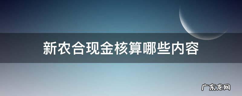 新农合包括哪些内容 新农合现金核算哪些内容