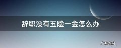 辞职没有五险一金怎么办 辞职不工作了五险一金怎么办