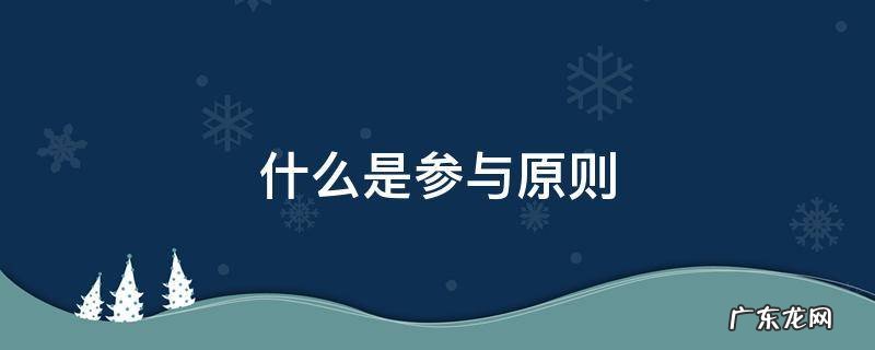 什么是参与原则 何谓参与原则