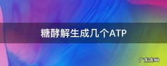 糖酵解生成几个ATP 糖酵解生成几个还原氢