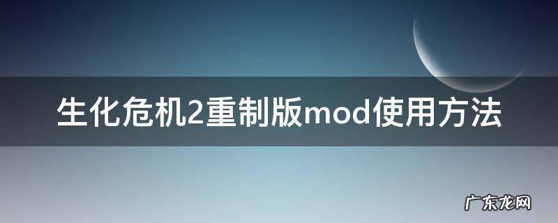 生化危机2重制版mod使用方法 生化危机2重制版mod使用方法w10