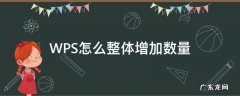 wps怎么加总数 WPS怎么整体增加数量
