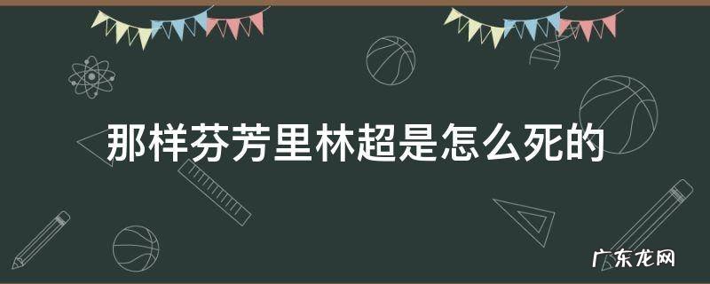 那样芬芳里林超是怎么死的 那样芬芳里林超结局
