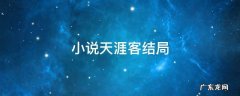 小说天涯客结局 天涯客小说最后结局