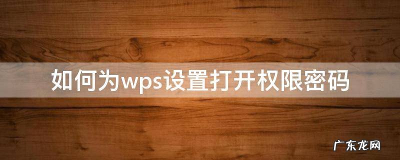 如何为wps设置打开权限密码 wps加密怎么设置权限