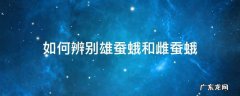 雄蚕蛾与雌蛾如何区分 如何辨别雄蚕蛾和雌蚕蛾
