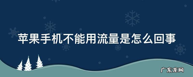 苹果手机不能用流量是怎么回事儿 苹果手机不能用流量是怎么回事
