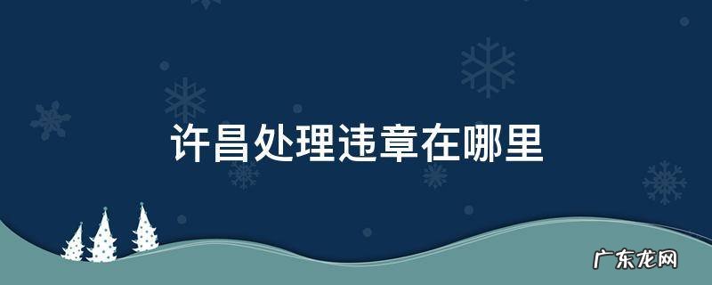 许昌处理交通违章在哪里 许昌处理违章在哪里