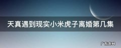 天真遇到现实小米虎子离婚第几集 天真遇到现实小米虎子结局
